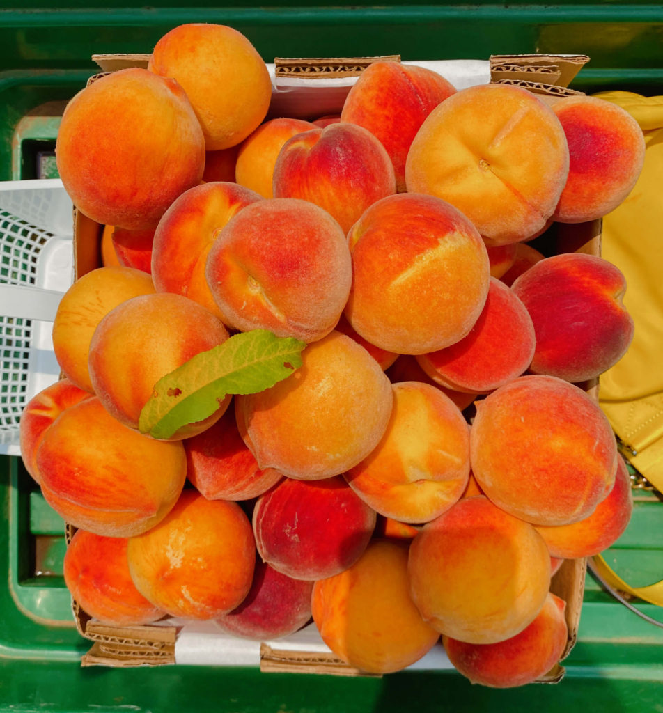 fresh peaches summer recipes
