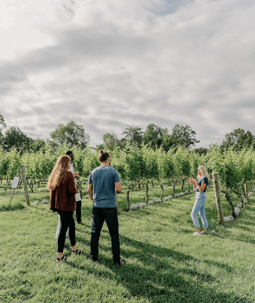 pippin hill best wineries in charlottesville