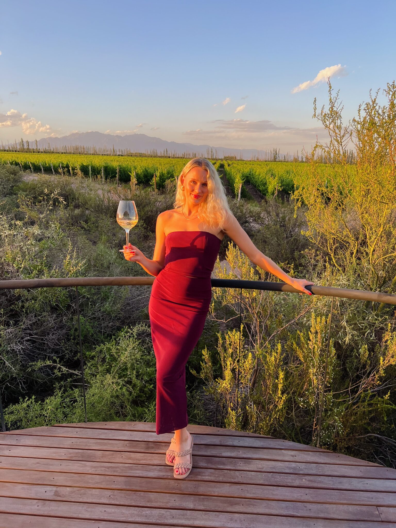 The Ultimate Travel Guide To Mendoza, Argentina - Carolyn Covington